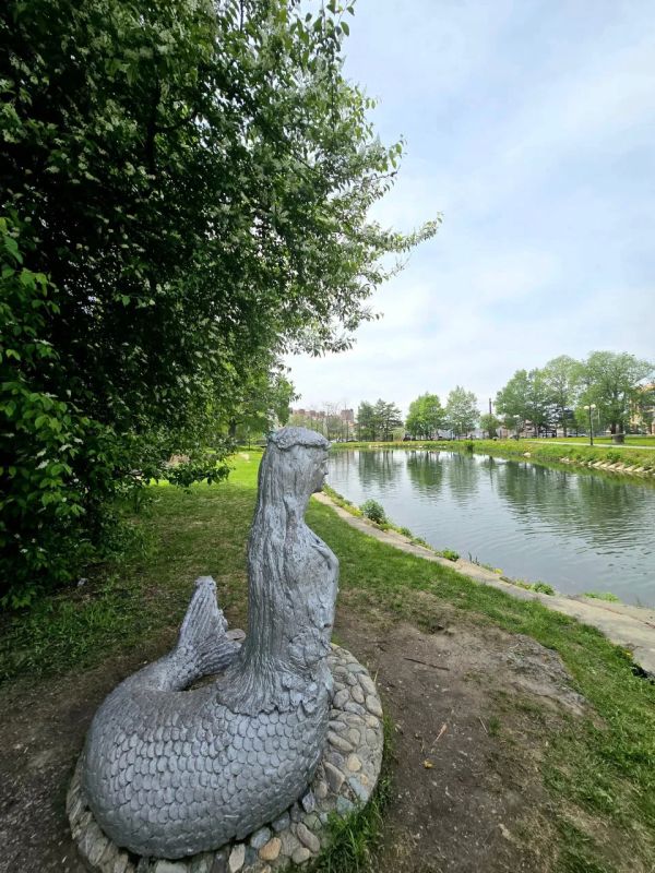Доброе утро, Южный!. В городском парке зацвела черёмуха Доброе утро, Южный!. В городском парке зацвела черёмуха