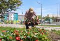 Цветочное преображение Корсакова
