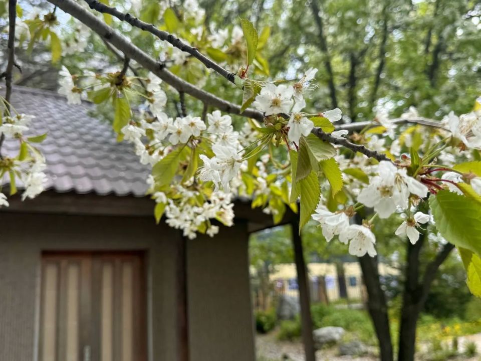 Доброе утро, Южно-Сахалинск! Доброе утро, Южно-Сахалинск!
