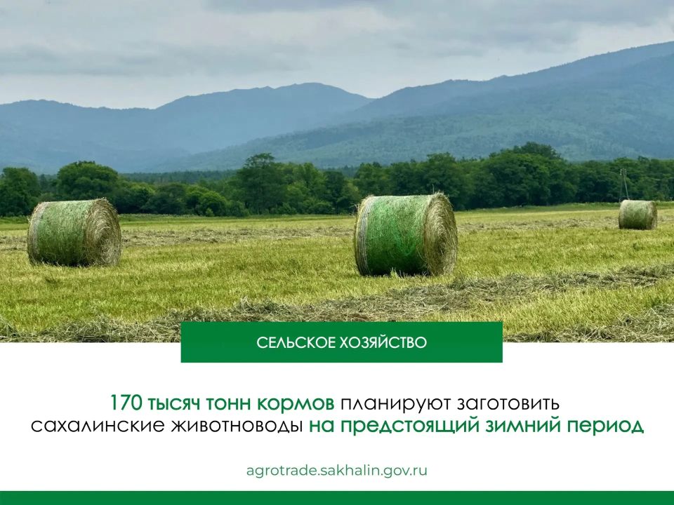 Начало кормозаготовительной кампании в Сахалинской области запланировано уже на вторую половину июня