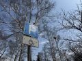 Более 2 тысяч нарушений правил парковки выявил «Дорожный патруль» в Южно-Сахалинске за май