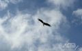 До +22° прогреется воздух на юге Сахалина в понедельник