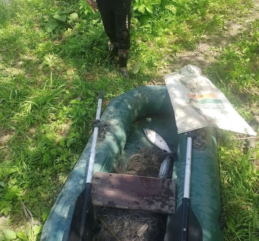 Штрафов на полмиллиона рублей выписали рыбакам за неделю на Сахалине и Курилах Штрафов на полмиллиона рублей выписали рыбакам за неделю на Сахалине и Курилах