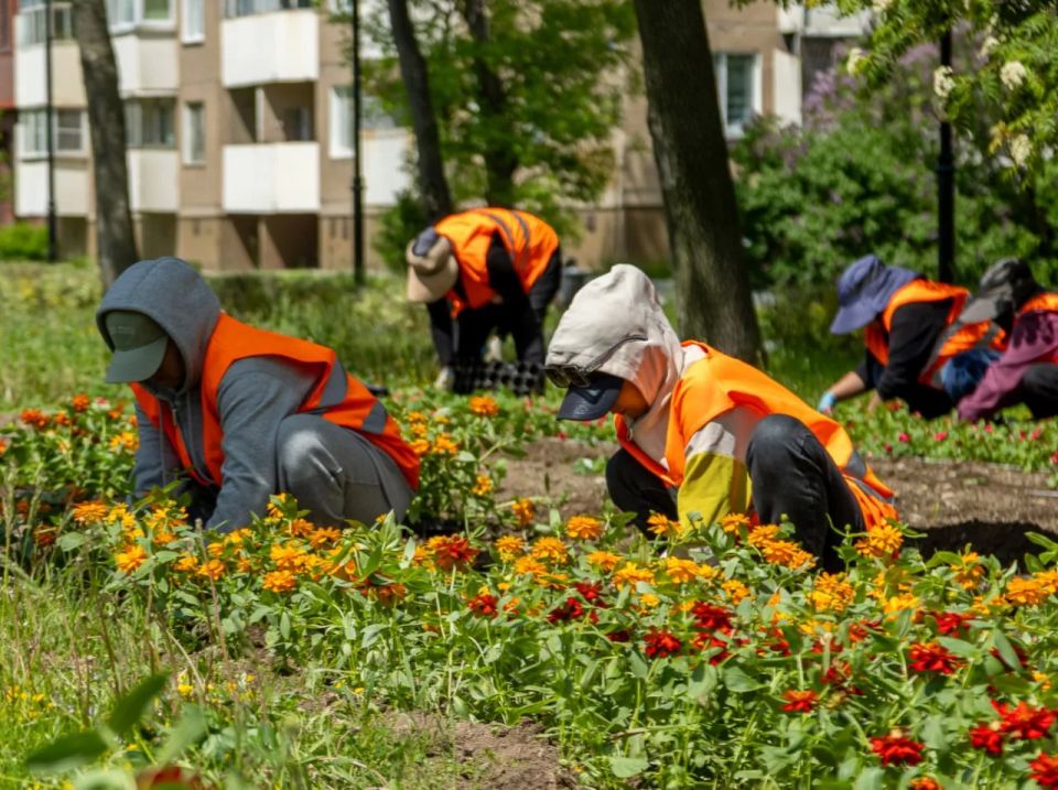 30 тысяч цветов украсят проспект Мира в Южно-Сахалинске 30 тысяч цветов украсят проспект Мира в Южно-Сахалинске