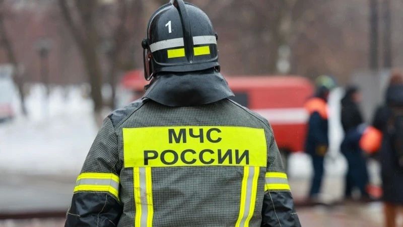 Огнеборцы спасли из задымленной квартиры щенка и двух человек в Аниве