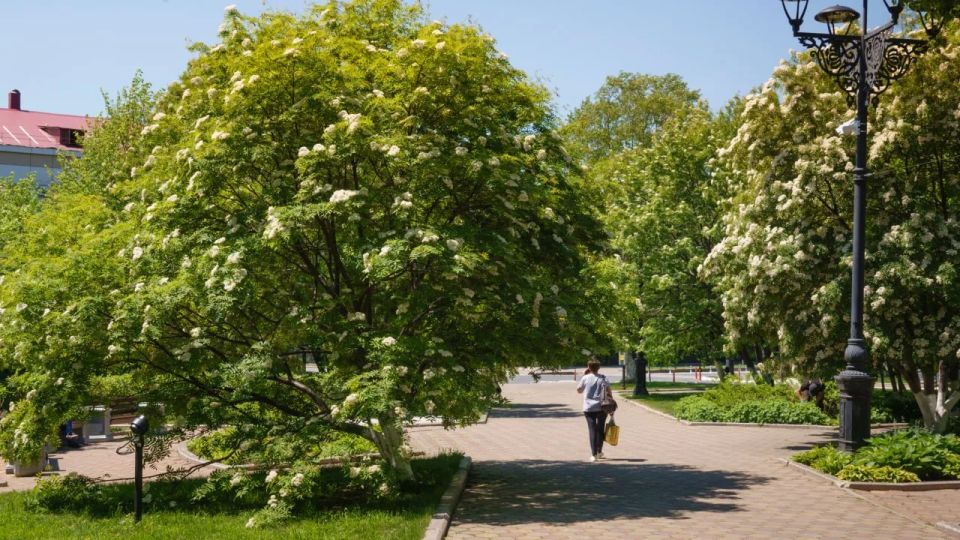 Доброе утро, Южный!. Сегодня в городе вновь ожидается тёплая погода – днём воздух прогреется до +22°C Доброе утро, Южный!. Сегодня в городе вновь ожидается тёплая погода – днём воздух прогреется до +22°C