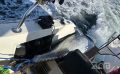 На Сахалине стартовал сезон тунца: в Невельске выловили трофей в 150 кг