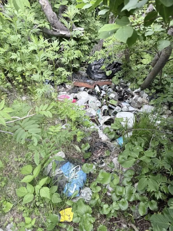 Свалка у Хазарского озера ликвидирована! Свалка у Хазарского озера ликвидирована!
