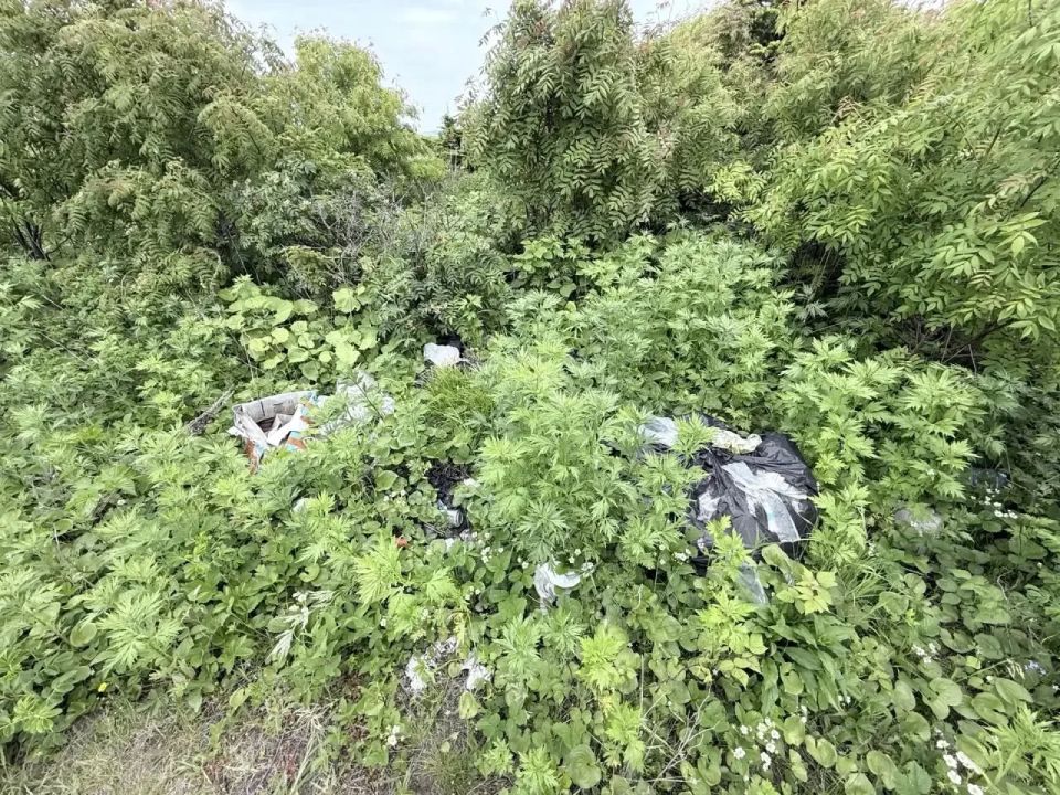 Свалка у Хазарского озера ликвидирована!