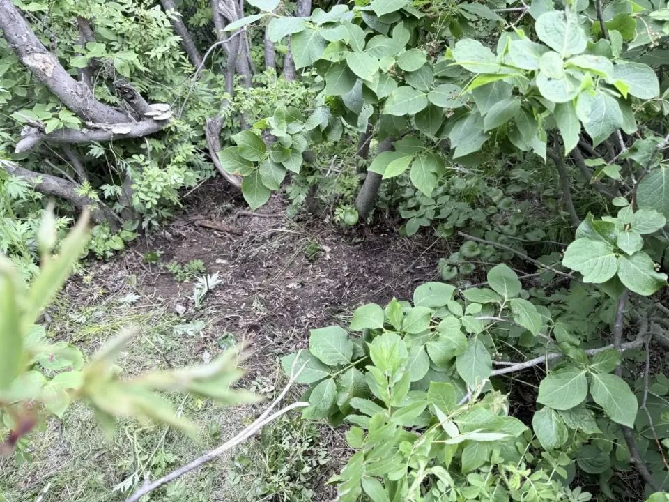 Свалка у Хазарского озера ликвидирована! Свалка у Хазарского озера ликвидирована!