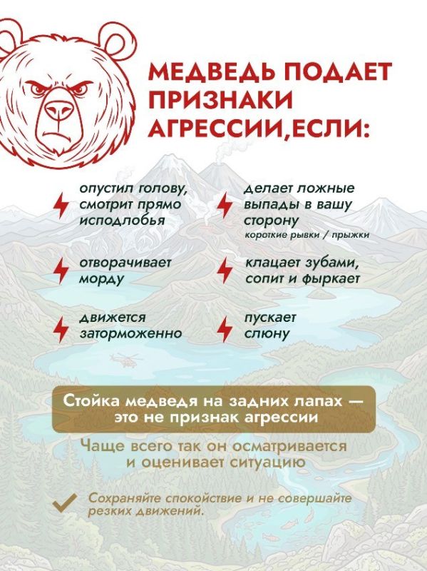 Более 500 случаев выхода медведей к людям зафиксировали в Сахалинской области за 2025 год Более 500 случаев выхода медведей к людям зафиксировали в Сахалинской области за 2025 год