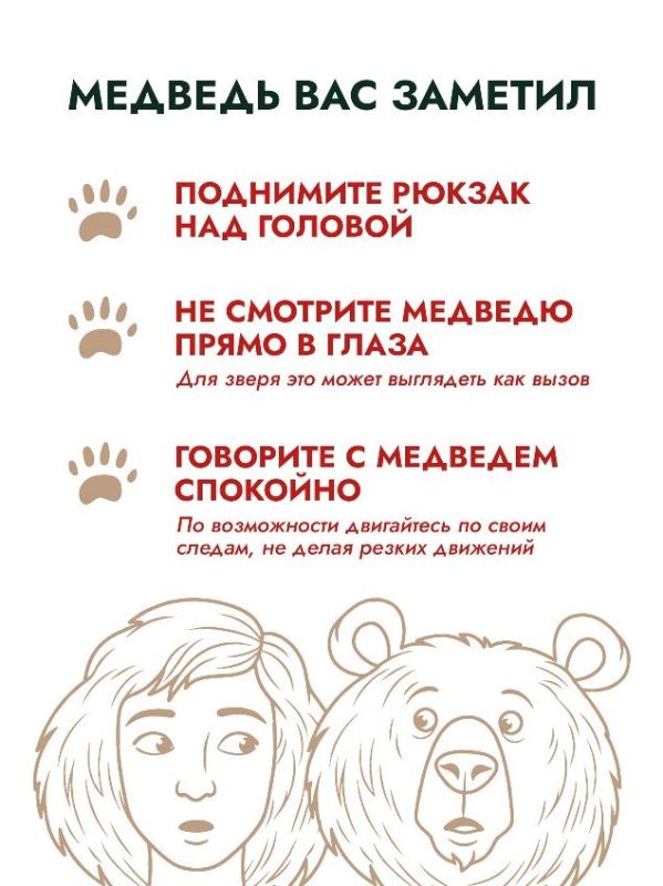 Более 500 случаев выхода медведей к людям зафиксировали в Сахалинской области за 2025 год Более 500 случаев выхода медведей к людям зафиксировали в Сахалинской области за 2025 год