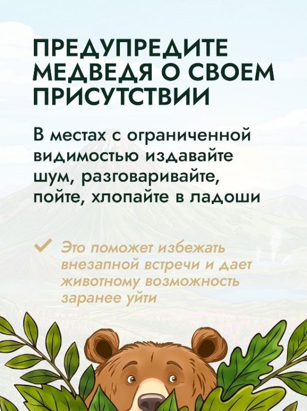 Более 500 случаев выхода медведей к людям зафиксировали в Сахалинской области за 2025 год Более 500 случаев выхода медведей к людям зафиксировали в Сахалинской области за 2025 год