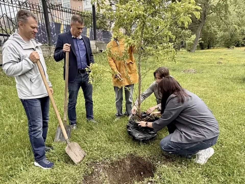 Коллектив нашего министерства с удовольствием присоединился к реализации пилотного проекта «Моё деревов парке»! Коллектив нашего министерства с удовольствием присоединился к реализации пилотного проекта «Моё деревов парке»!