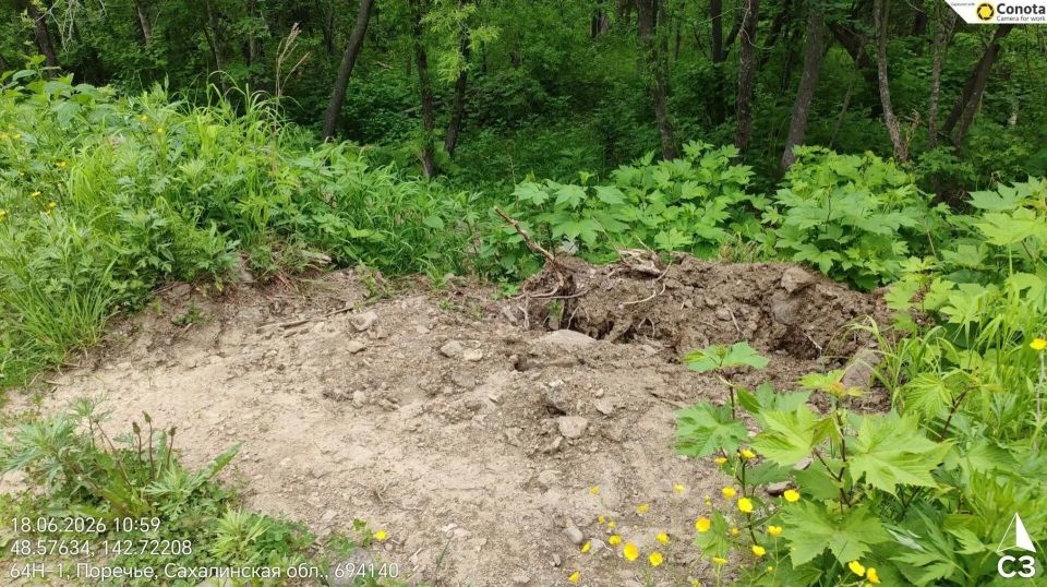 Три свалки ликвидировали в Макаровском районе Три свалки ликвидировали в Макаровском районе