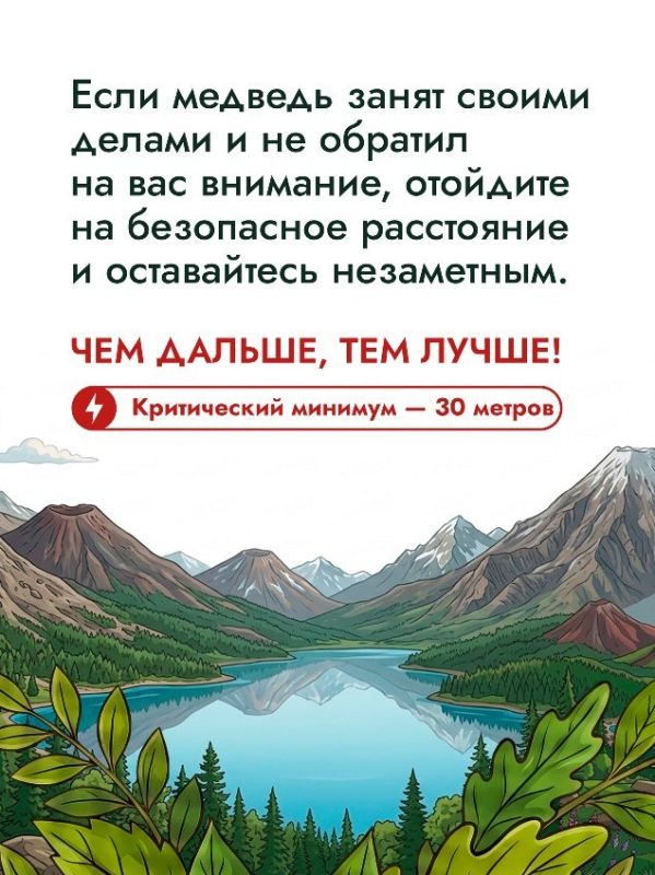 Более 500 случаев выхода медведей к людям зафиксировали в Сахалинской области за 2025 год Более 500 случаев выхода медведей к людям зафиксировали в Сахалинской области за 2025 год