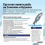 Где сейчас ловить горбушу и симу?
