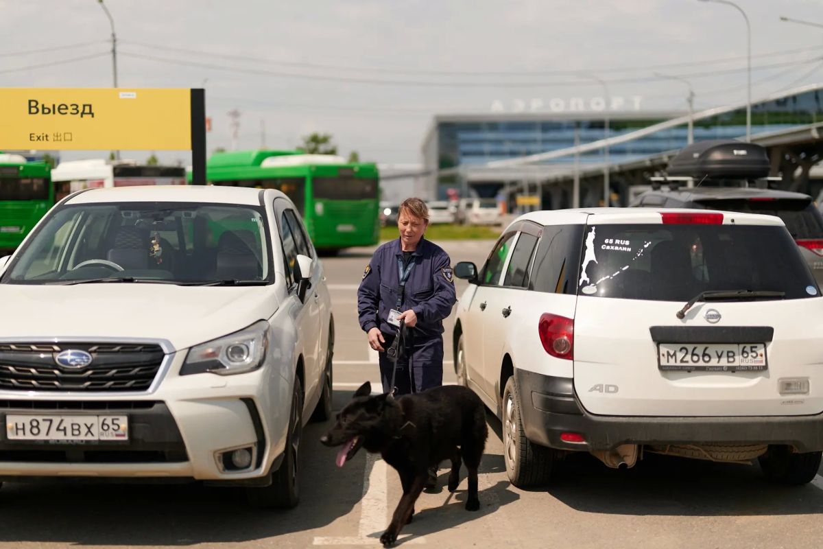 Собачий патруль заступит на службу в аэровокзале Южно-Сахалинска Собачий патруль заступит на службу в аэровокзале Южно-Сахалинска