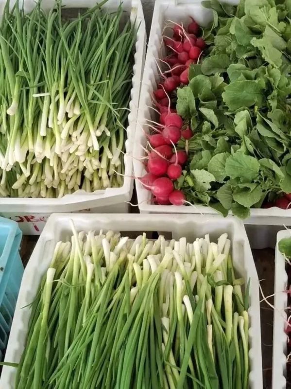 Сахалинские растениеводы начали сбор ранней овощной продукции! Сахалинские растениеводы начали сбор ранней овощной продукции!