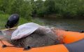 "Ущерб около полумиллиона": рыбоохрана на Сахалине воюет с браконьерами на симу