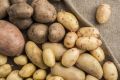 Сахалинские аграрии завершили посадку картофеля и овощей