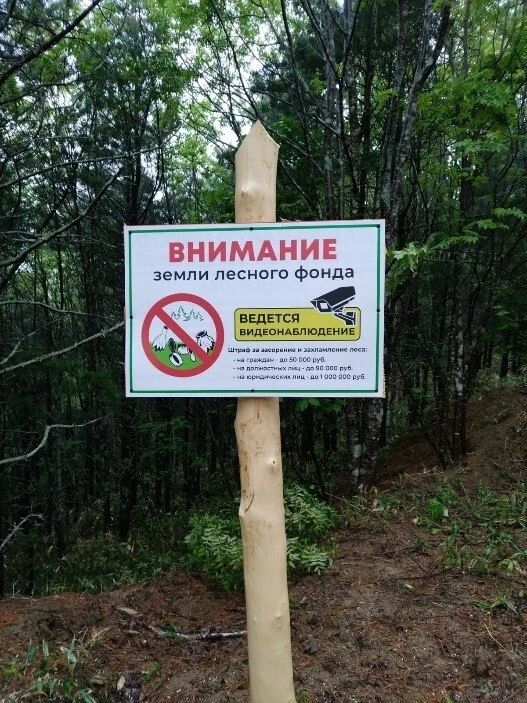 Дроны и фотоловушки следят за чистотой в лесах Сахалина Дроны и фотоловушки следят за чистотой в лесах Сахалина