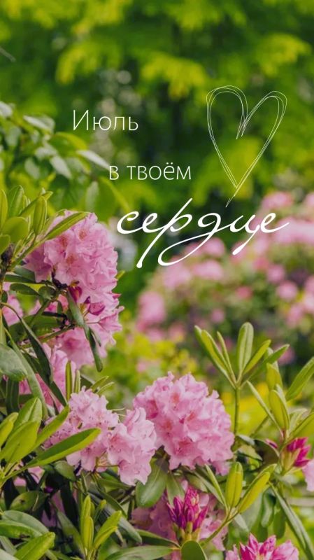 Здравствуй, июль!. Оглянуться не успели, как пролетел первый месяц лета Здравствуй, июль!. Оглянуться не успели, как пролетел первый месяц лета