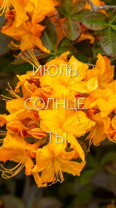 Здравствуй, июль!. Оглянуться не успели, как пролетел первый месяц лета Здравствуй, июль!. Оглянуться не успели, как пролетел первый месяц лета