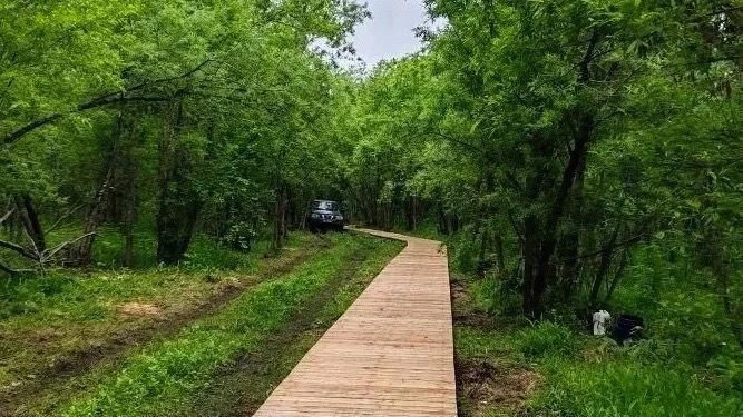В зоне отдыха «Рефулеры» в Поронайском районе начали строить экотропу В зоне отдыха «Рефулеры» в Поронайском районе начали строить экотропу