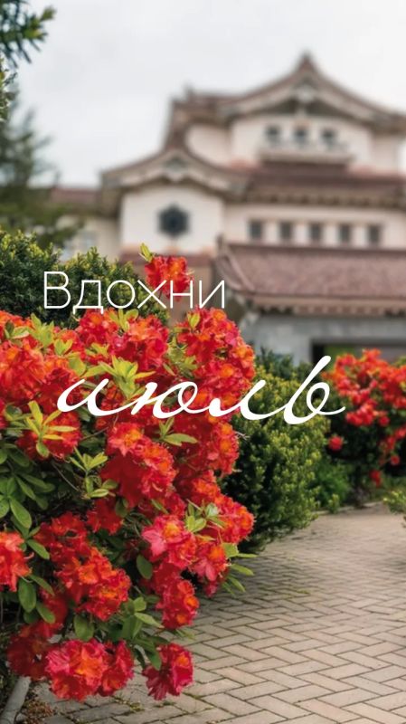 Здравствуй, июль!. Оглянуться не успели, как пролетел первый месяц лета Здравствуй, июль!. Оглянуться не успели, как пролетел первый месяц лета