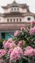 ����������, ����!. ���������� �� ������, ��� �������� ������ ����� ����