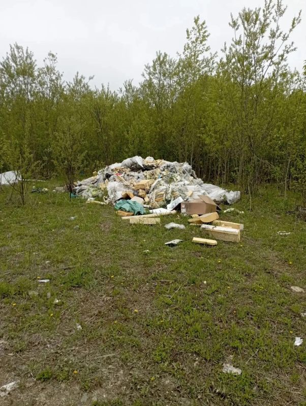 Медведь забил корову недалеко от свалки в районе Малиновки Медведь забил корову недалеко от свалки в районе Малиновки