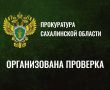 Прокуратурой Анивского района организована проверка по факту причинения несовершеннолетнему в селе Троицкое телесных повреждений крупным рогатым скотом