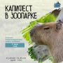 Праздник, который нельзя пропускать! 11 июля в Сахалинском зооботаническом парке состоится вечеринка, приуроченная ко Всемирному дню любви к капибарам