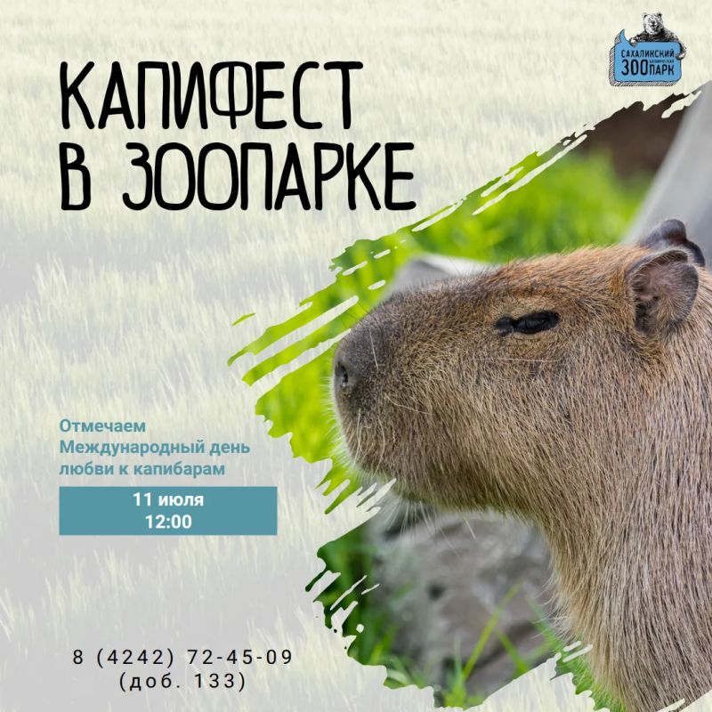 Праздник, который нельзя пропускать! 11 июля в Сахалинском зооботаническом парке состоится вечеринка, приуроченная ко Всемирному дню любви к капибарам