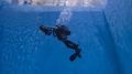 Сахалинский росгвардеец отличился на соревнованиях водолазов