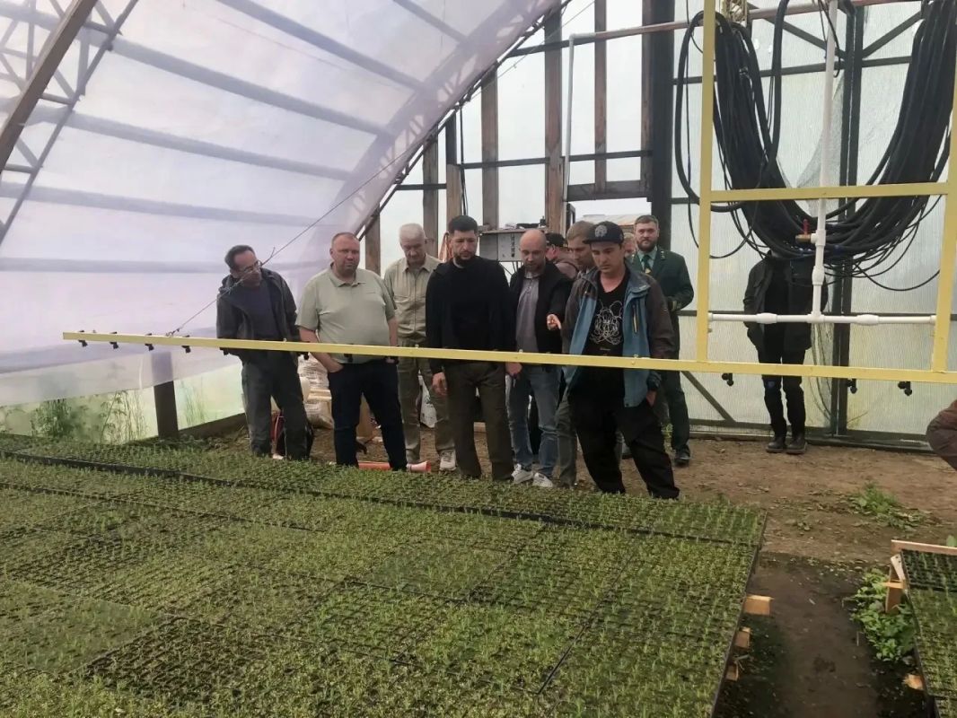 Новое оборудование в Ногликах помогает быстро и качественно выращивать посадочный материал для лесовосстановления Новое оборудование в Ногликах помогает быстро и качественно выращивать посадочный материал для лесовосстановления