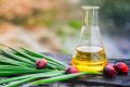 Пальмовое масло: польза или вред в мире современных продуктов?