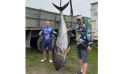 Три часа вываживали: сахалинцы поймали гигантского тунца в заливе Мордвинова