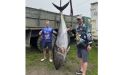 Три часа вываживали: сахалинцы поймали гигантского тунца в заливе Мордвинова