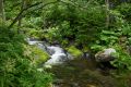 К водопаду Айхор обустраивают новую экологическую тропу