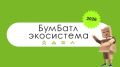 Всероссийский «БумБатл»: как сахалинские школьники могут спасти деревья и помочь экологии