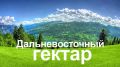 Агентство лесного и охотничьего хозяйства Сахалинской области уведомляет, что в течение 2 лет после заключения договора безвозмездного пользования Вам необходимо направить в Агентство уведомление о выбранном виде или видах...