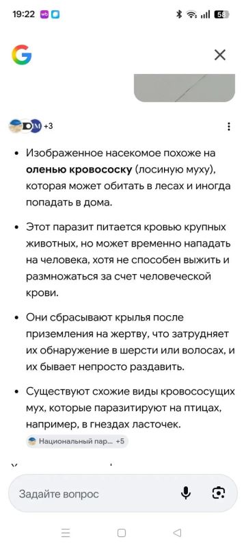 Необычных и довольно неприятных насекомых заметили жители Поронайска прямо в своих домах Необычных и довольно неприятных насекомых заметили жители Поронайска прямо в своих домах