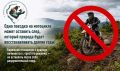 ���� ������� �� ��������� ����� �������� ����, ������� ������� ����� ��������������� ������ ����
