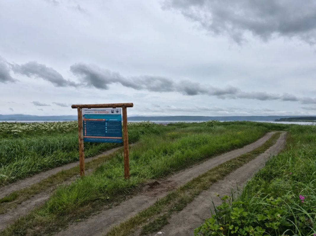 Знакомство с природой начинается не с фотографии Знакомство с природой начинается не с фотографии