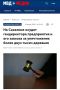 На Сахалине осудят гендиректора предприятия и его завхоза за уничтожение более двух тысяч деревьев