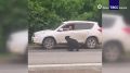 Специалисты на Сахалине отловили двух медвежат, которые около месяца выходили к трассе за едой