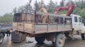 Отлов медвежат организовали за сутки