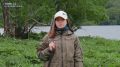«Правила хорошего тона» на Итурупе: как оставить природу такой же прекрасной, какой вы её нашли